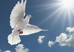 Image result for Free Images Holy Spirit Worship