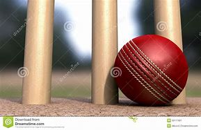 Image result for Singular Cricket Wickets