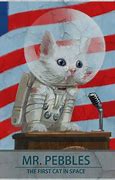 Image result for Cat in Space Meme