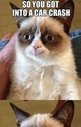 Image result for Car Accident Cat Meme