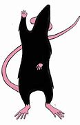 Image result for Dancing Rat Sped Up