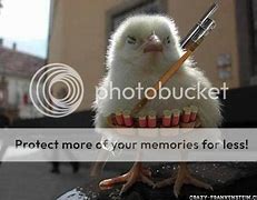 Image result for Funny Wallpapers 4K