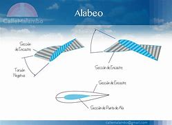 Image result for alabeo