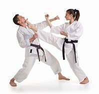 Image result for Martial Arts Techniques Karate