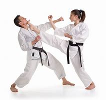Image result for Best Martial Arts for Fighting