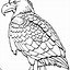Image result for Hawk Coloring Pages Printable