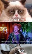 Image result for Grumpy Cat Movie Memes