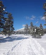 Image result for Flagstaff Arizona Winter