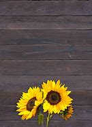 Image result for Rustic Sunflower Wallpaper