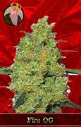 Image result for Fire OG Kush