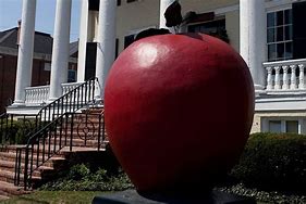 Image result for Giant Apple Phhone