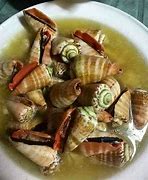 Image result for Bongkaliw Shell