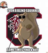 Image result for South Carolina Mascot Memes