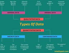 Image result for Classifying Data