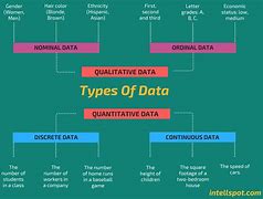 Image result for Classification of Data in Statistics