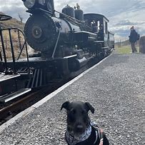 Image result for Brecon Mountain Railway Dogs