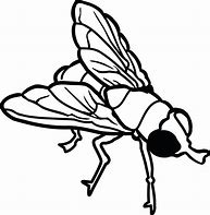 Image result for Fly Action Clip Art Black and White