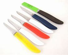 Image result for Small Paring Knife