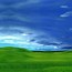 Image result for Windows XP Background Download