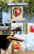 Image result for Apple Holder Bird Feeder