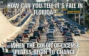 Image result for Florida Is Full Meme