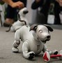 Image result for What Is an Aibo Robot
