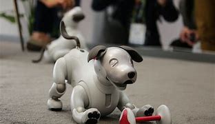 Image result for Sony Aibo Newest Model