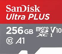 Image result for SanDisk microSD Card