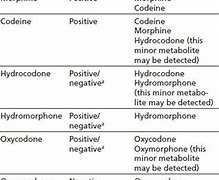 Image result for Hydrocodone Cross-Reactivity Chart