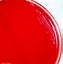 Image result for Plague Inc. Bacteria