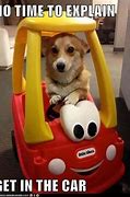 Image result for Dog Phone Meme