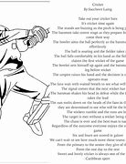 Image result for Cricket Phrases Funny