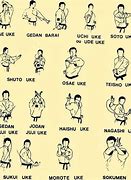 Image result for Types of Karate Gurufaru