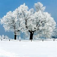 Image result for Beautiful Snowscapes