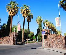 Image result for UA University of Arizona