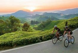 Image result for Cycling Marathon Malaysia