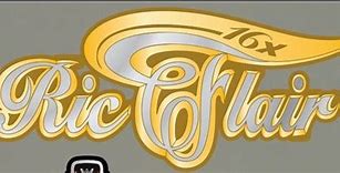 Image result for Ric Flair Logo