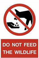 Image result for Do Not Feed Wildlife Sign