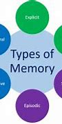 Image result for Different Types of Memory and Their Place in Brain