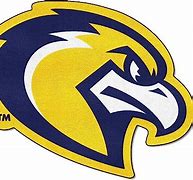 Image result for Marquette University Mascot