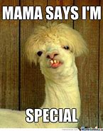 Image result for Meme Saying Its Special