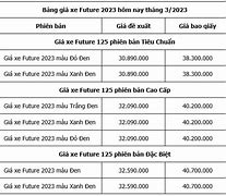 Image result for Gia Xe Future 2020