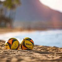 Image result for Beach Ball Volleyball Game