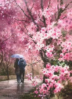 Awasome Cherry Blossom Rain Wallpaper 2023