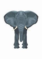 Image result for Cartoon Elephant Front View