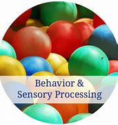 Image result for Sensory Activity for Kids