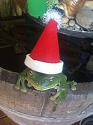 Image result for Aesthetic Christmas Frog