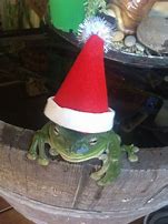 Image result for Christmas Frog PFP