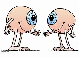 Image result for Seeing Eye to Eye