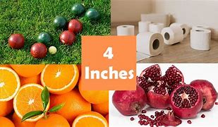 Image result for Things That Are 4 Inches